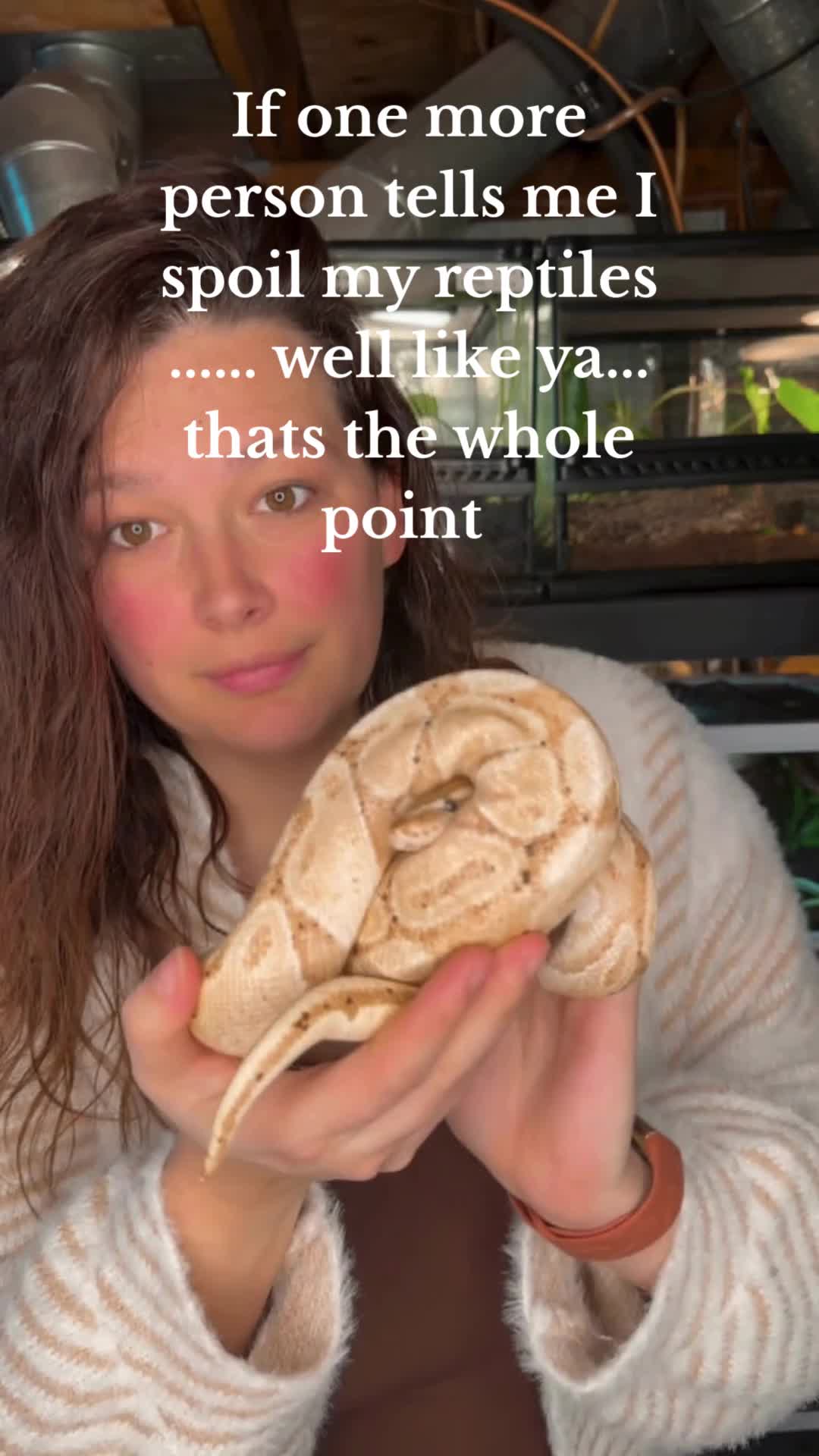 @ZA Reptiles