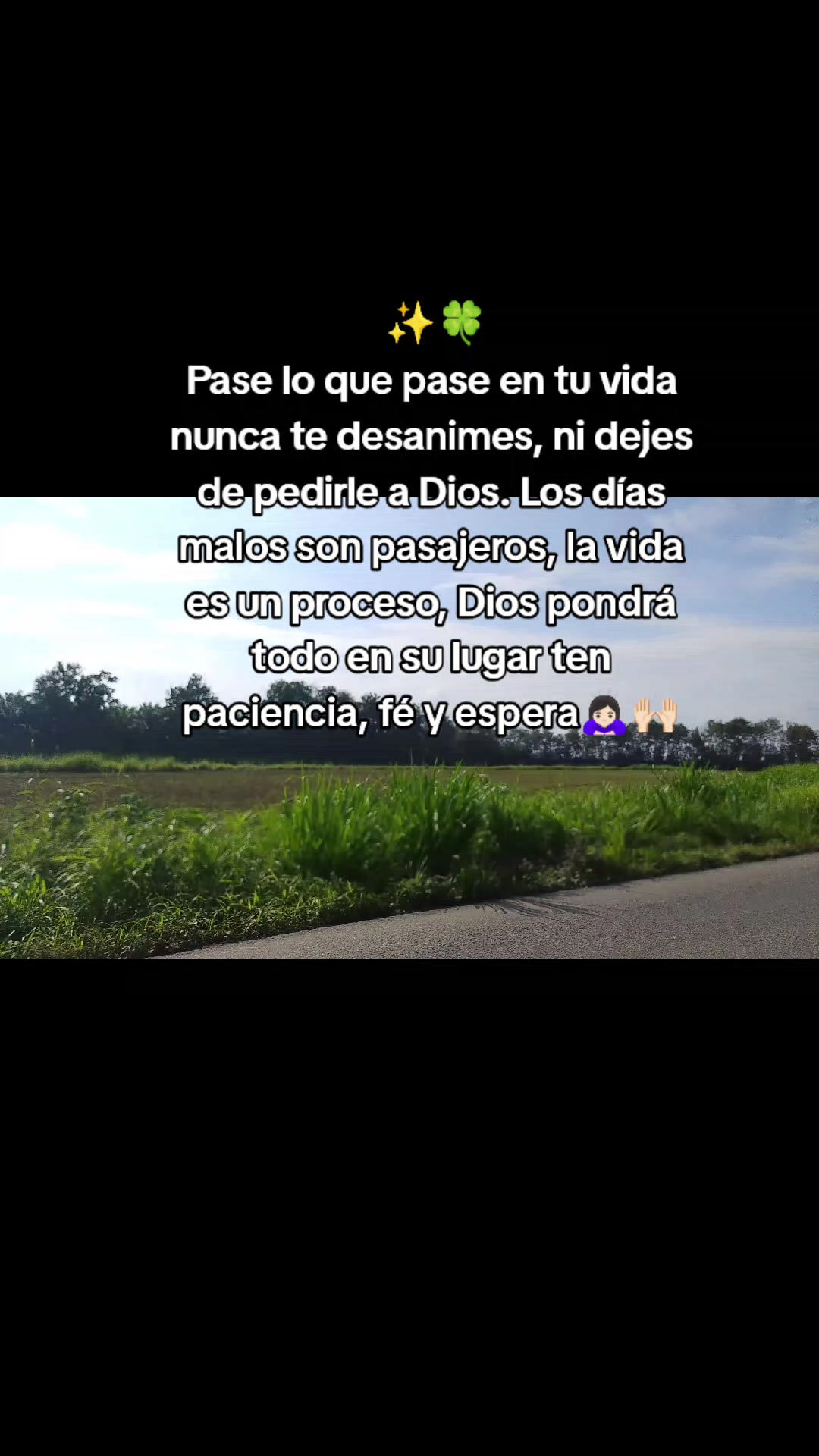 @luciana mendoza