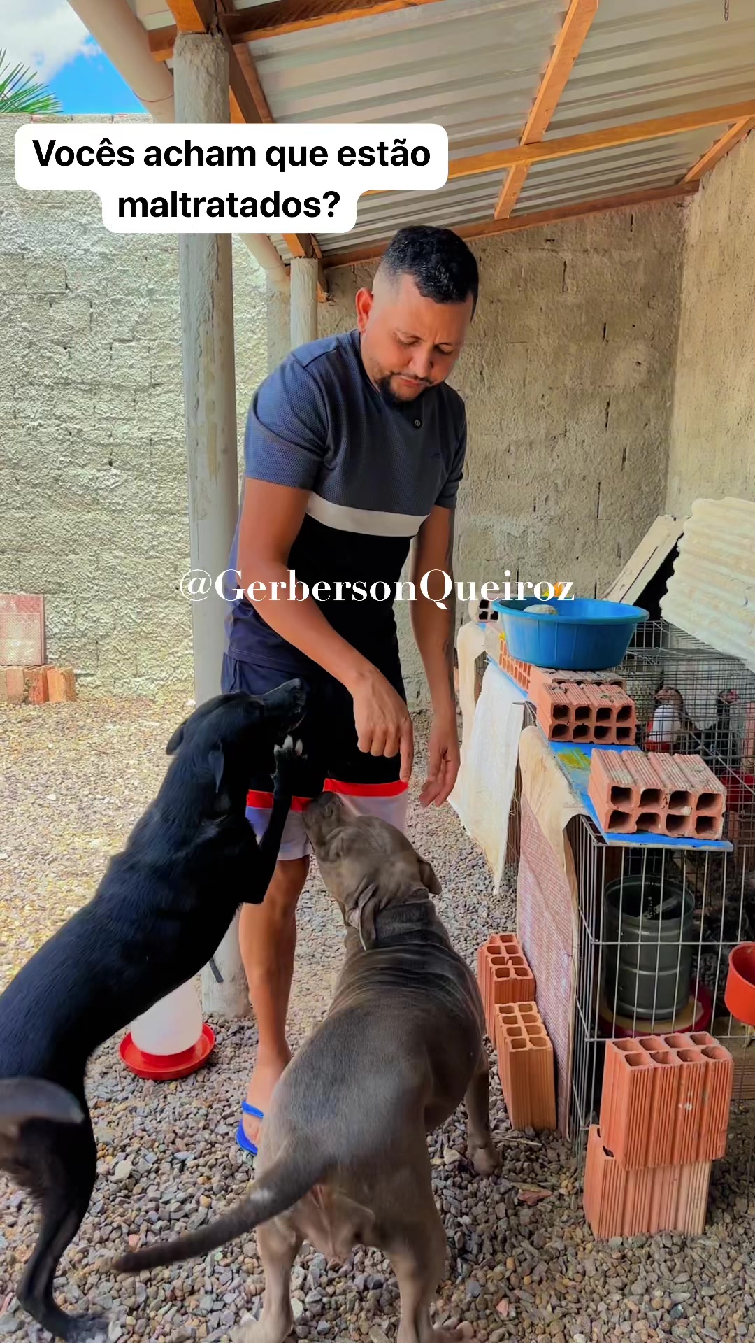 @gerberson.queiroz