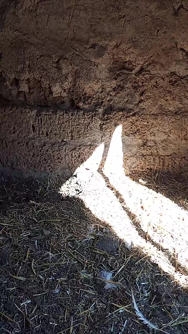 @Жужа