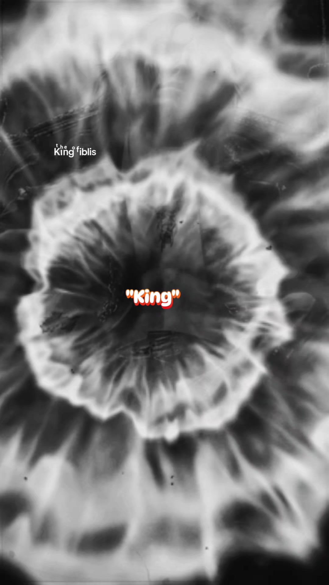 @ᵗʰᵉ_ᵏᶦⁿᵍ_ᵒᶠ_ᶦᵇˡᶦˢ