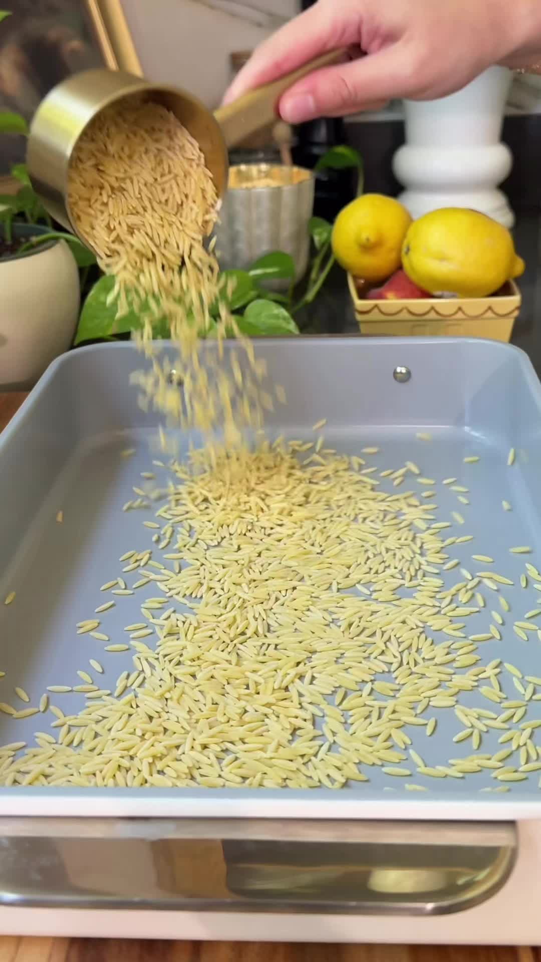 @Jar Of Lemons