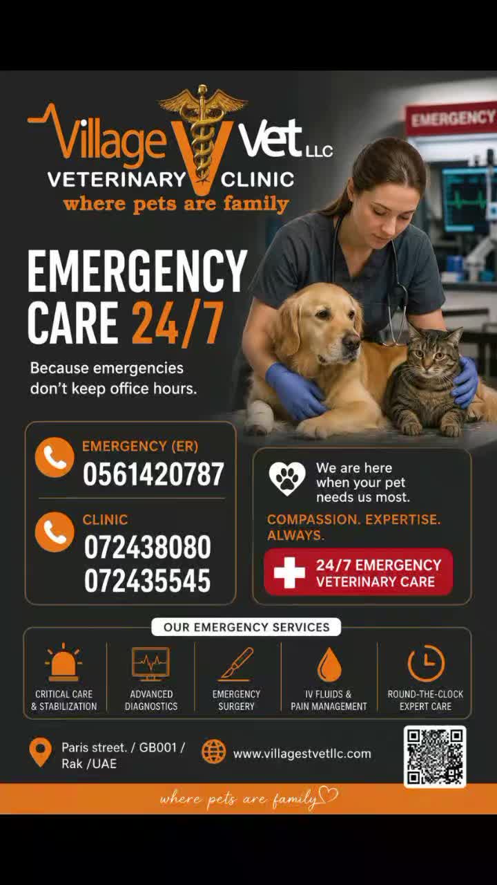 @VillagevVet LLC