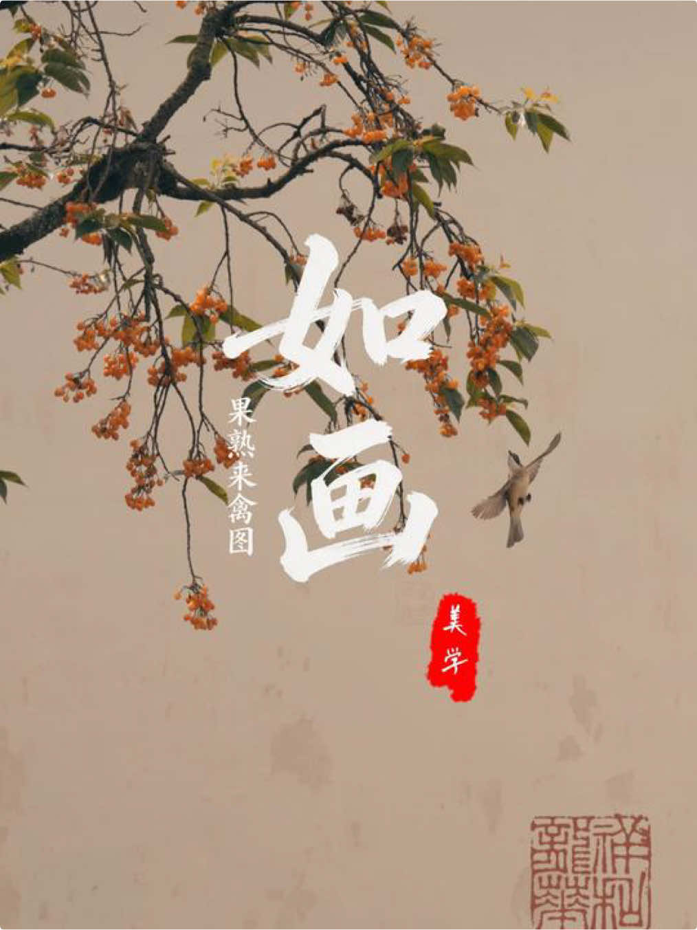 @中国青年