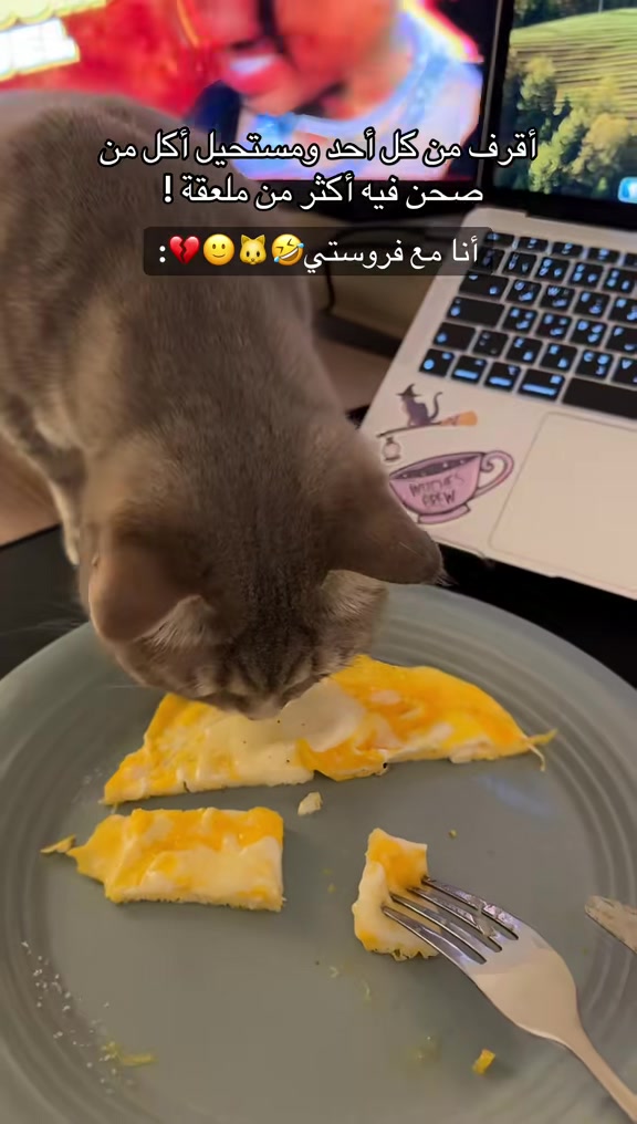 @Asala Binhurayb| أصالة بن حريب