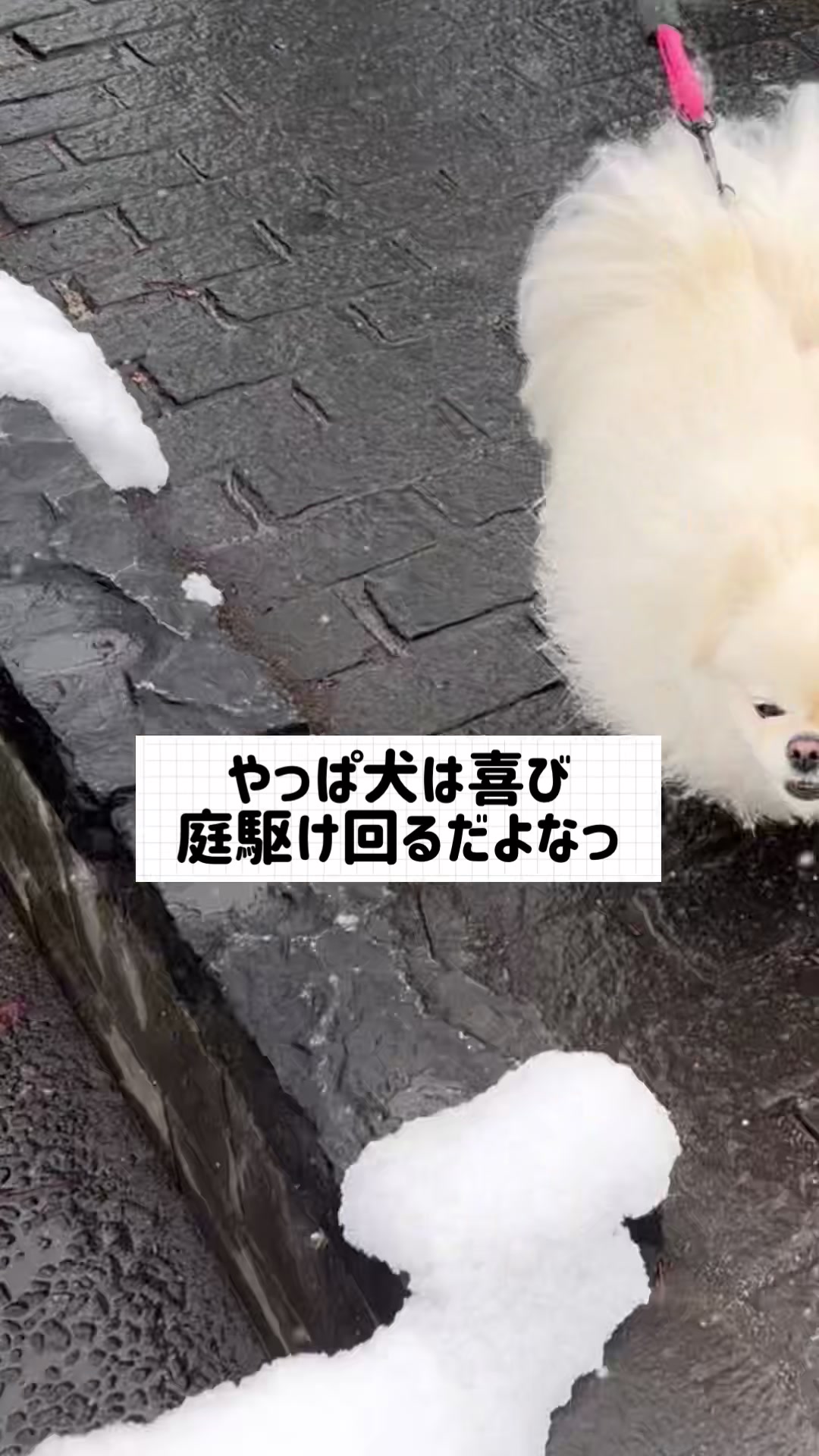 @なんこつ