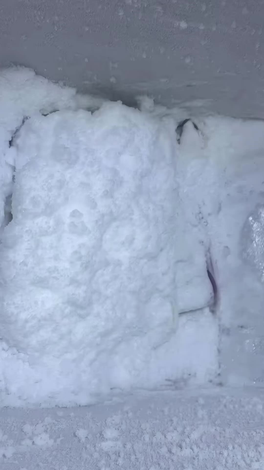 @ICEE🩷