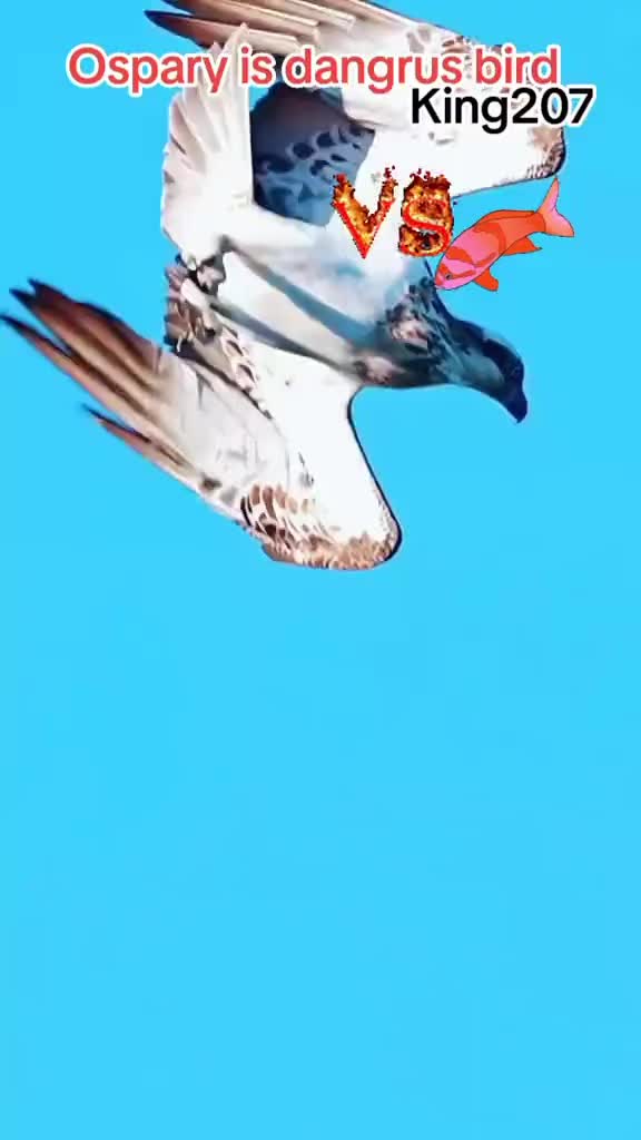 @🅣̣̣̣ 🅤̣̣̣ 🅜̣̣ 🅚̣̣ 🅞̣̣ 🅝̣