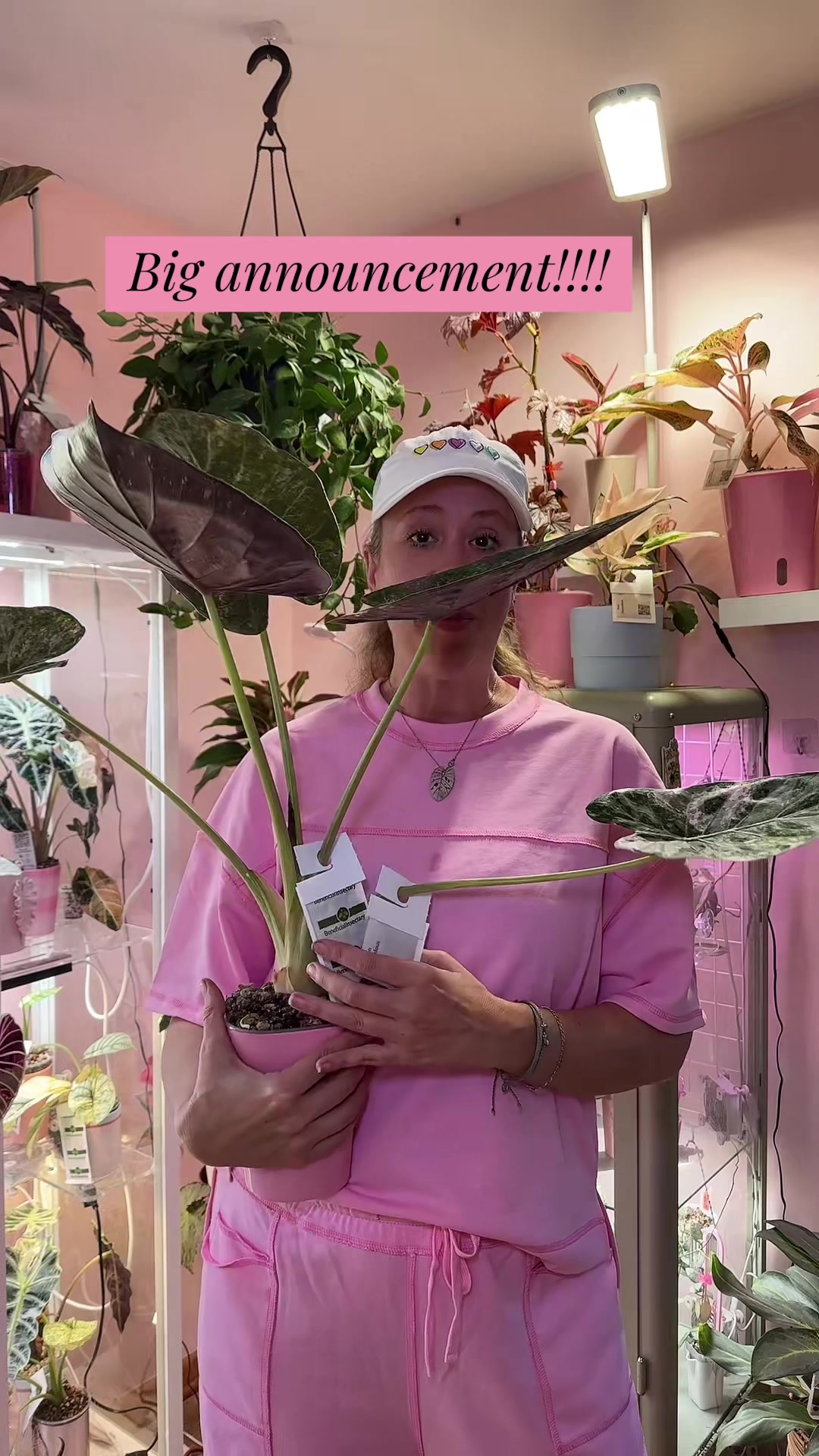 @Erin Keys - TheBoujeeGreenhous