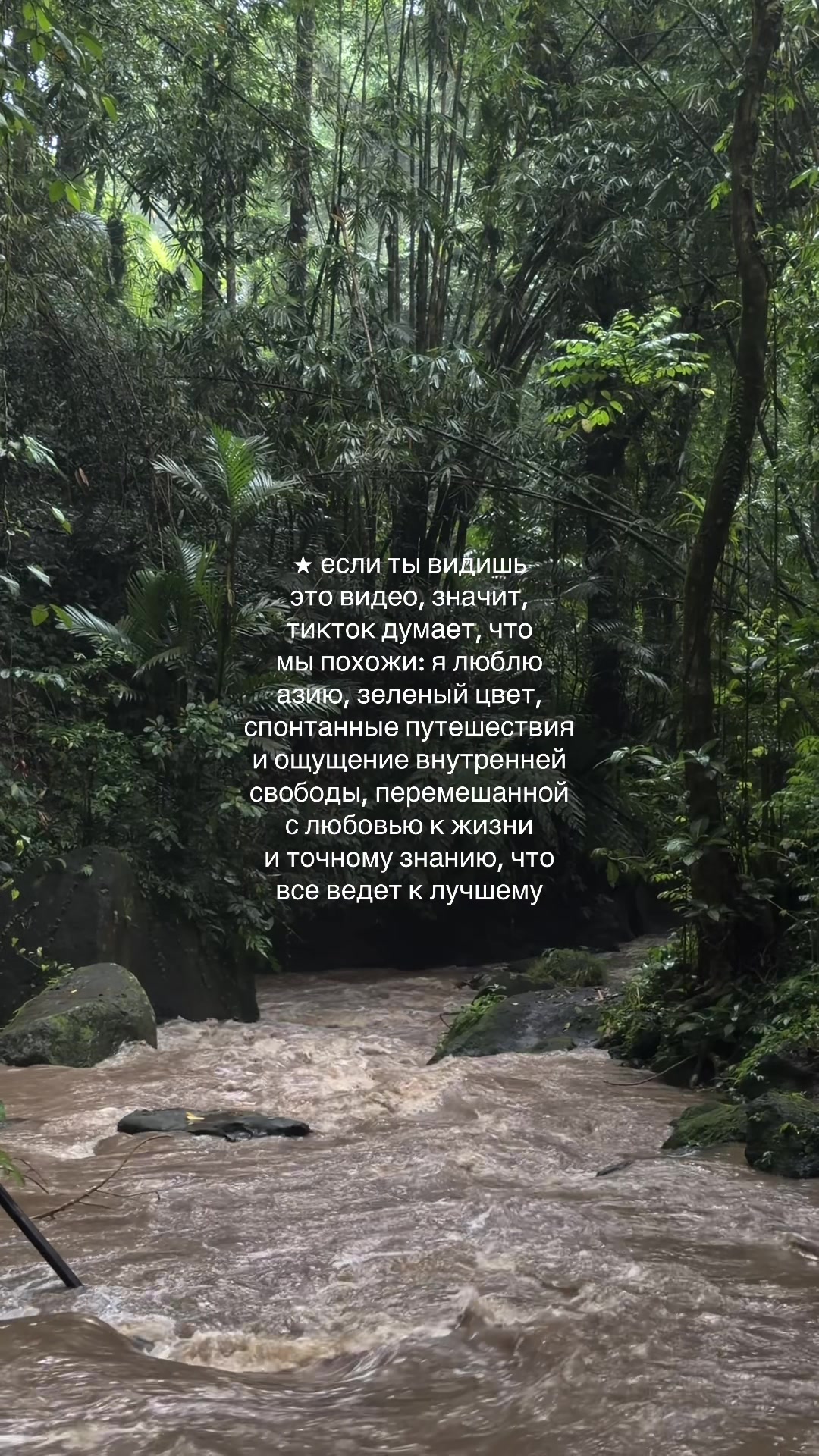 @яна js