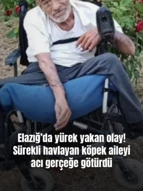 @Mynet