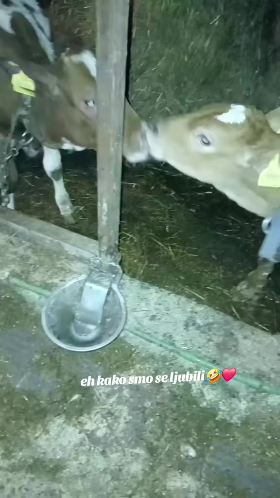 @mira20😜