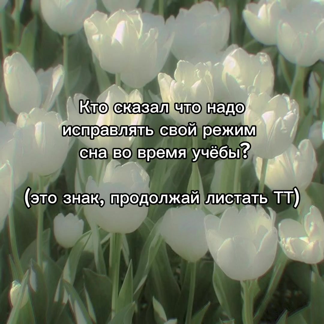 @|АМЕЛИЯ|