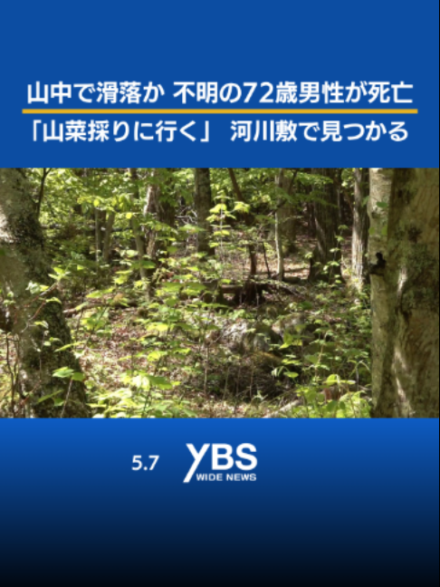 @YBSニュース 山梨【公式】