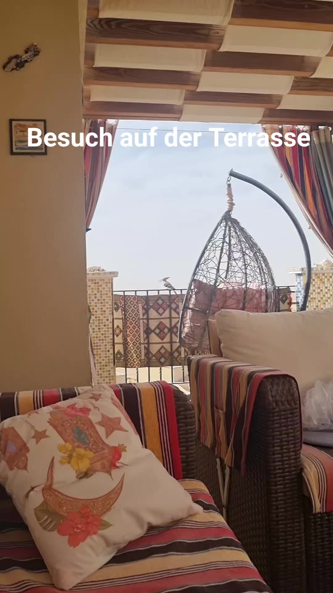 @SummerLove