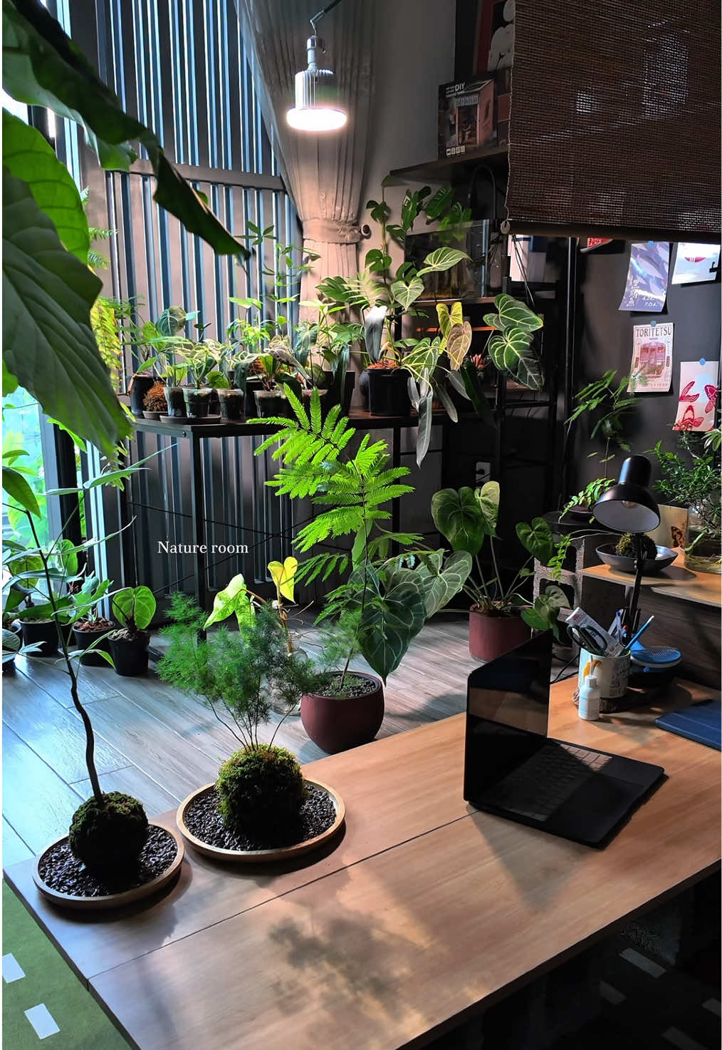 @Bảo tàng lá