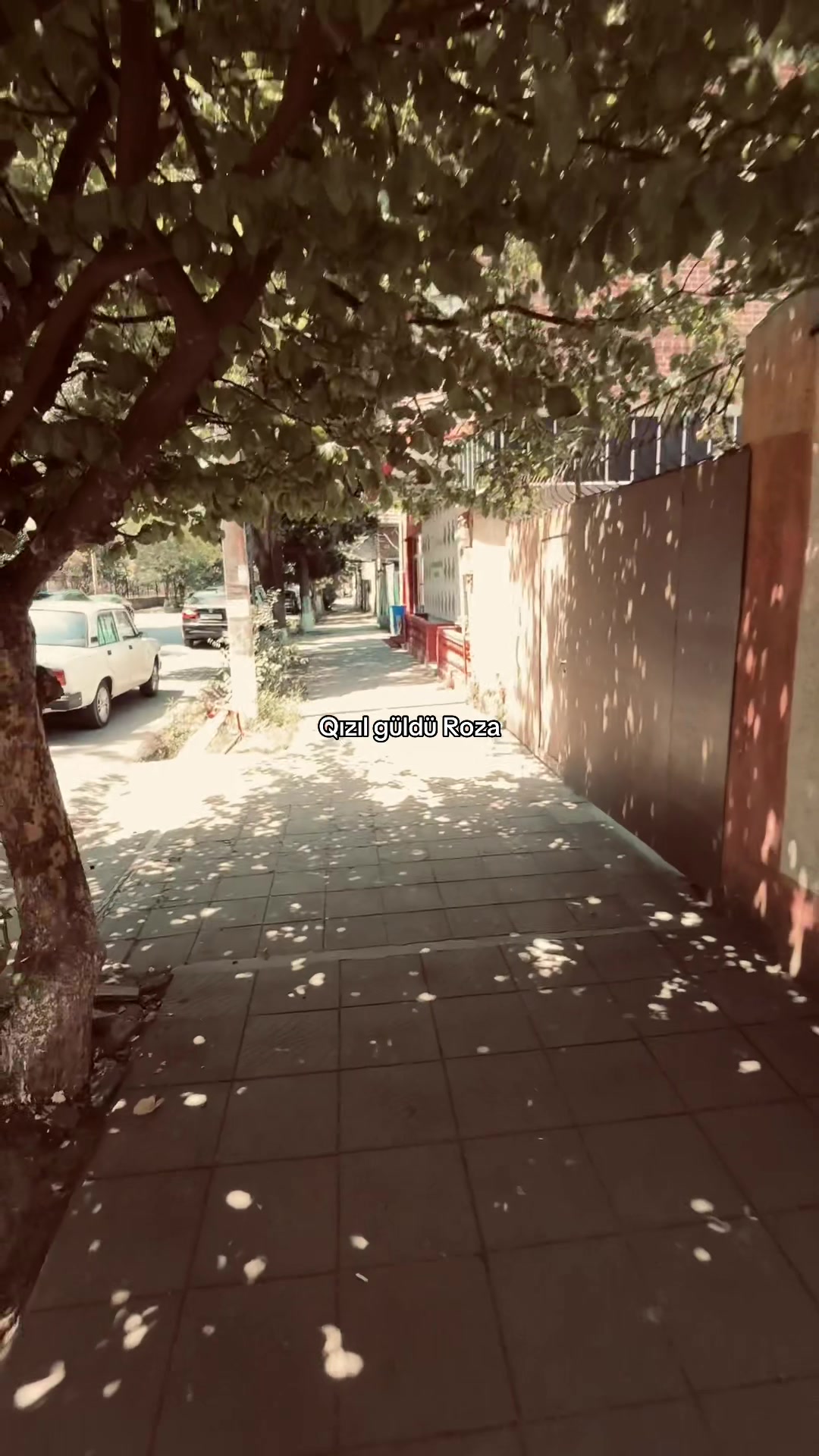 @𝑬𝒍𝒊𝒊✍️
