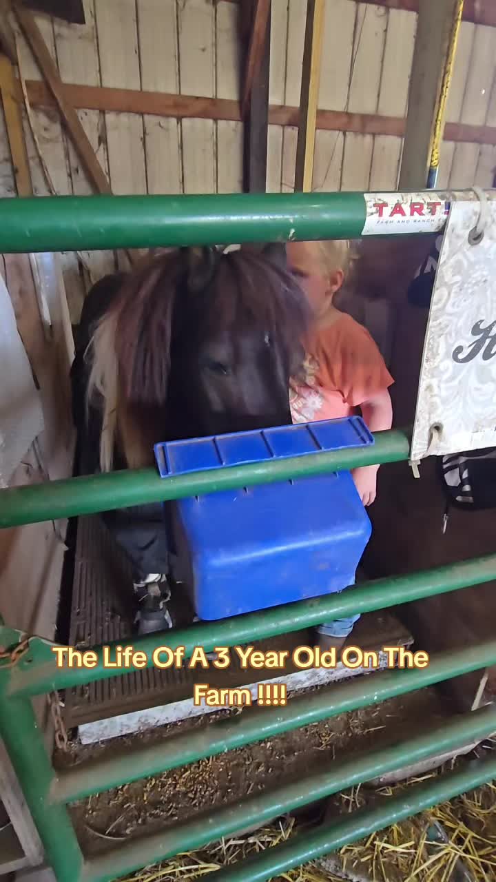 @Small Town Farm LLC