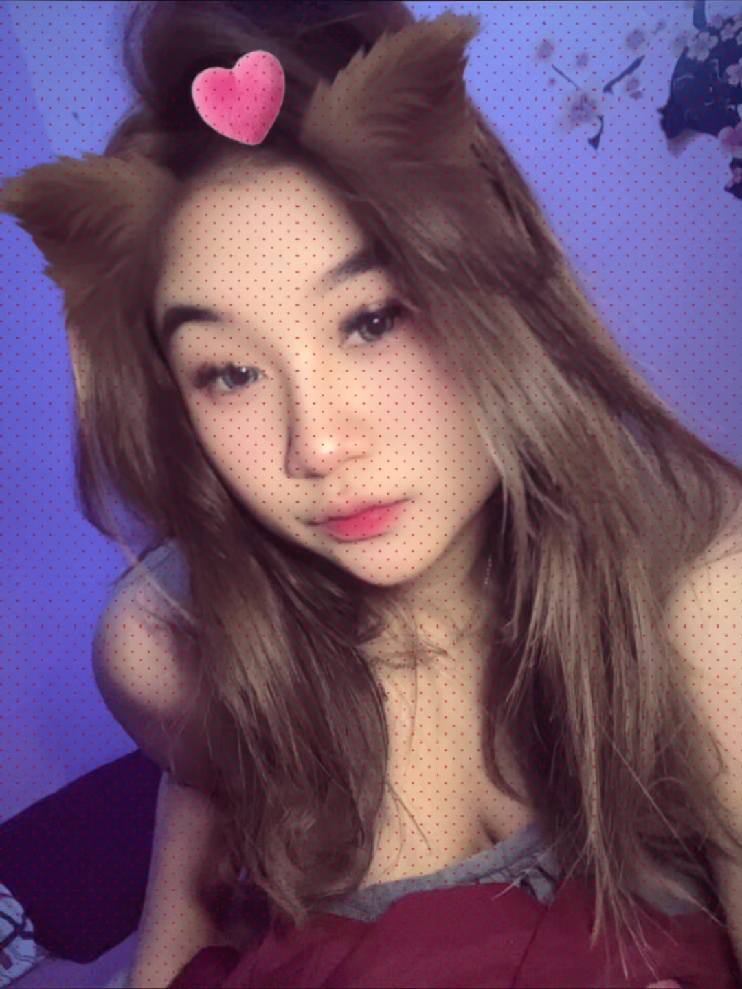 @Halowwpanss