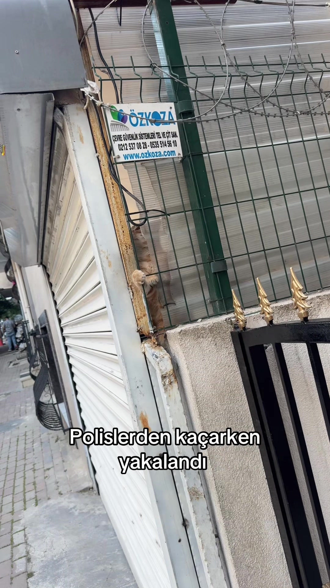 @YİGİTCAN ER