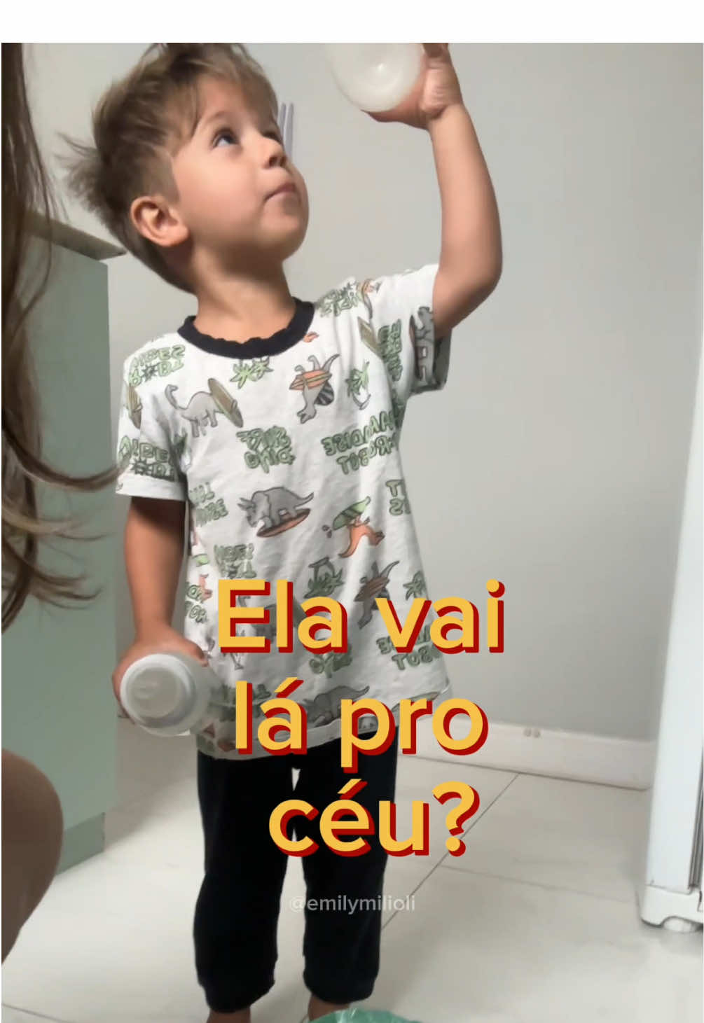@emily-milioli