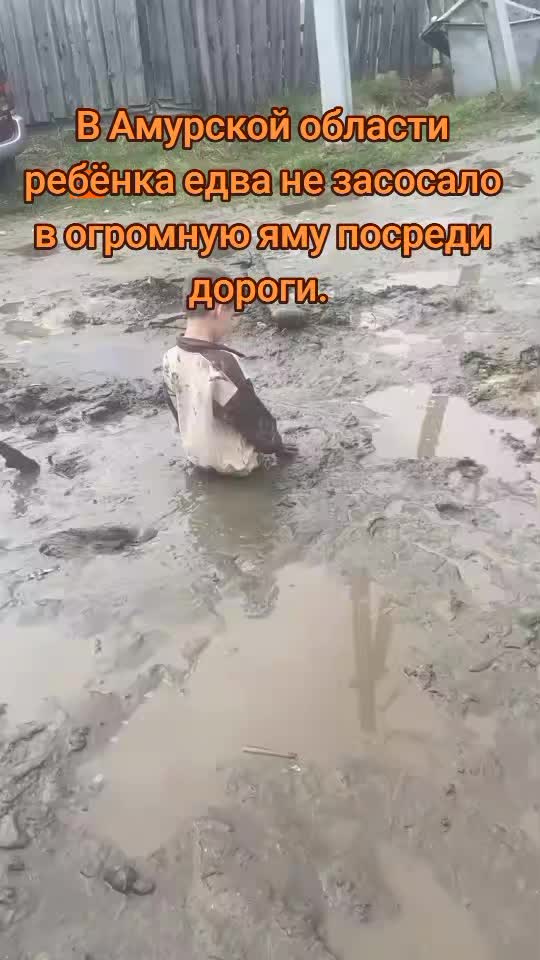 @vn