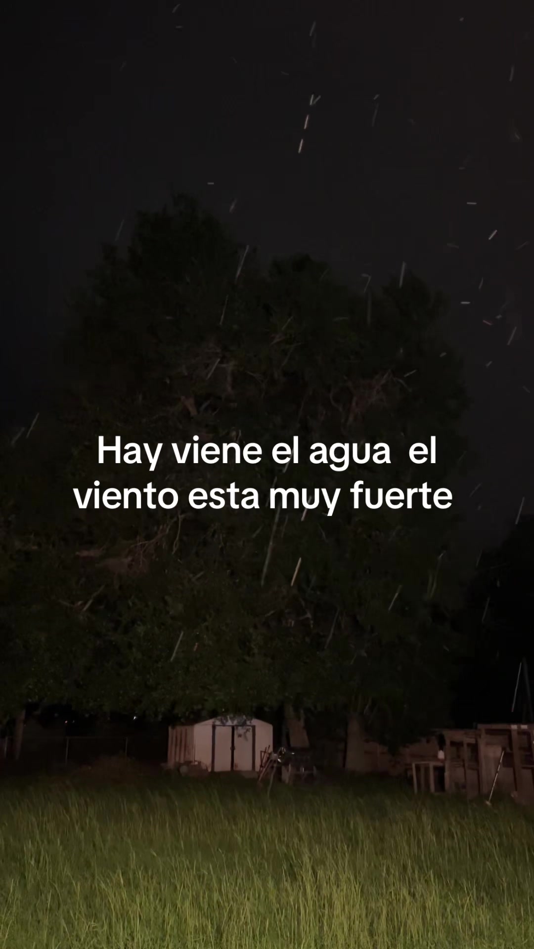 @Paula carreno 🐞🐞🐞