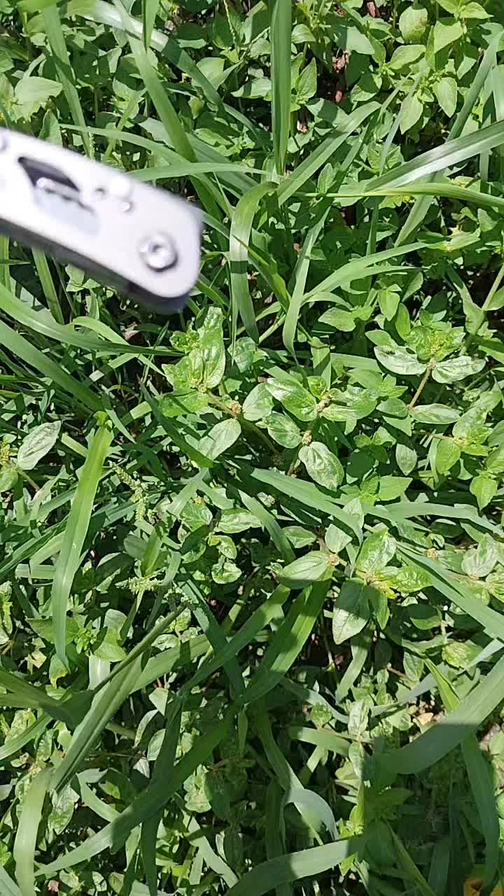 @MaSyeArifin