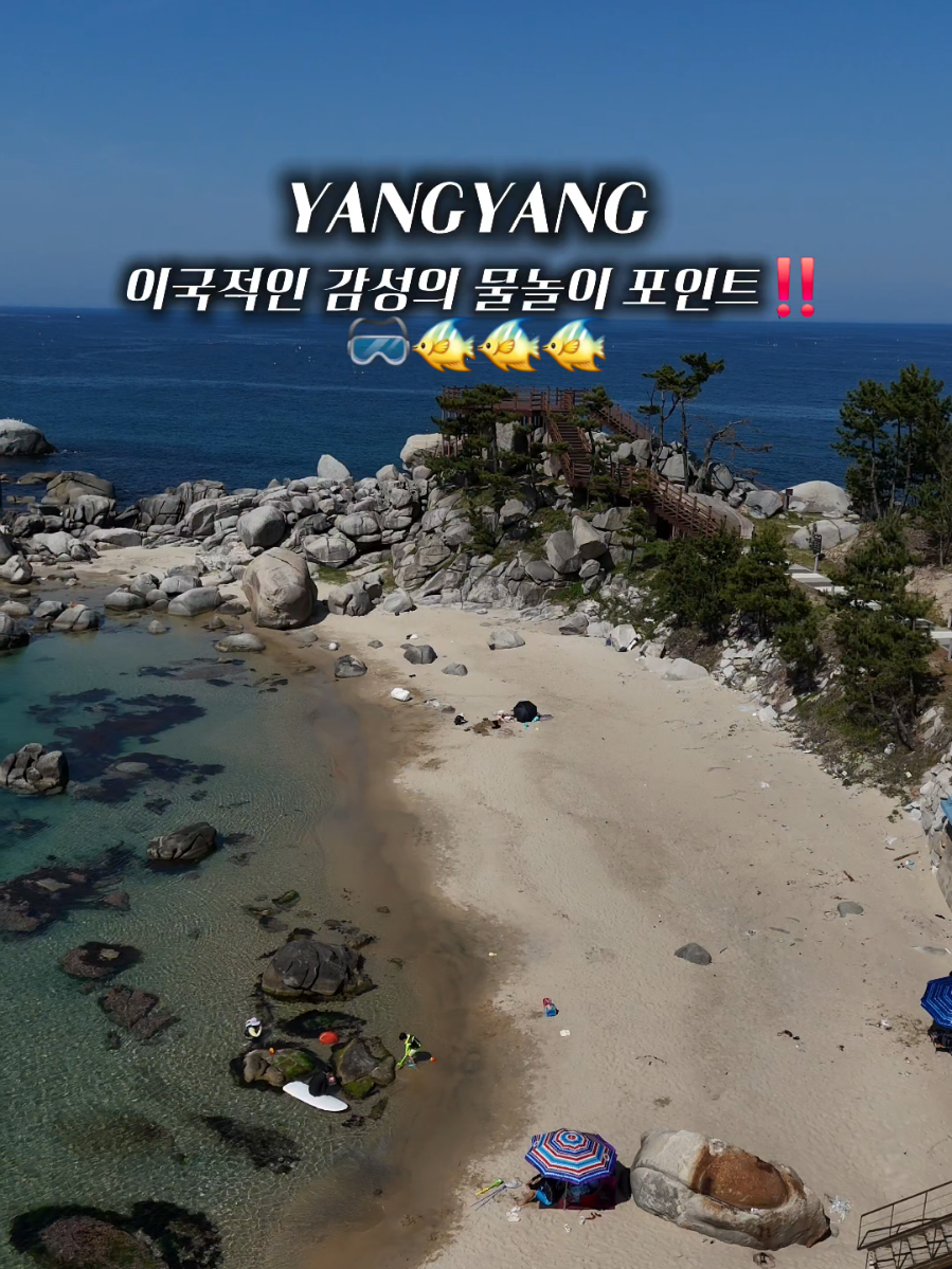 @캠퍼준영