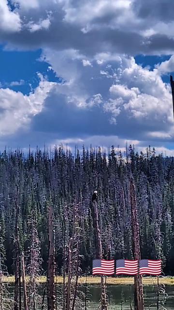 @Colorado Genx