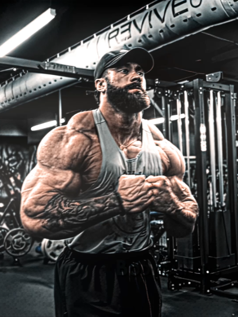 @Bodygainers