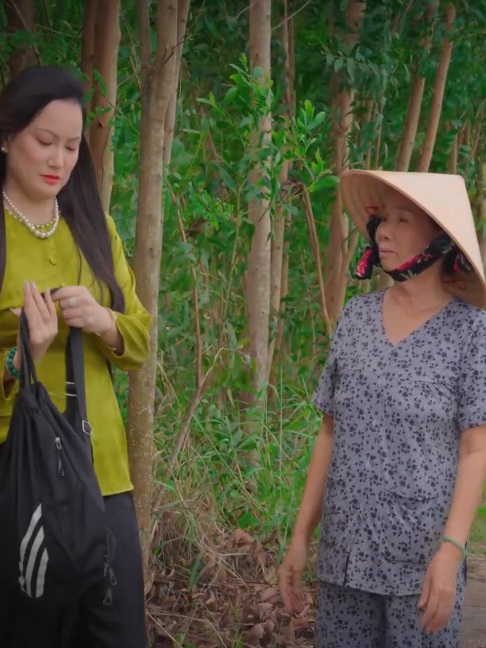 @Nam Việt Bolero