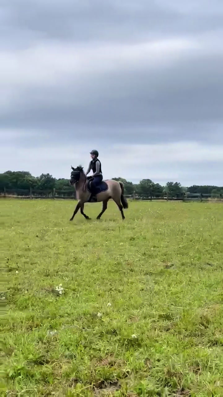 @Kaja_eq🐎🔝