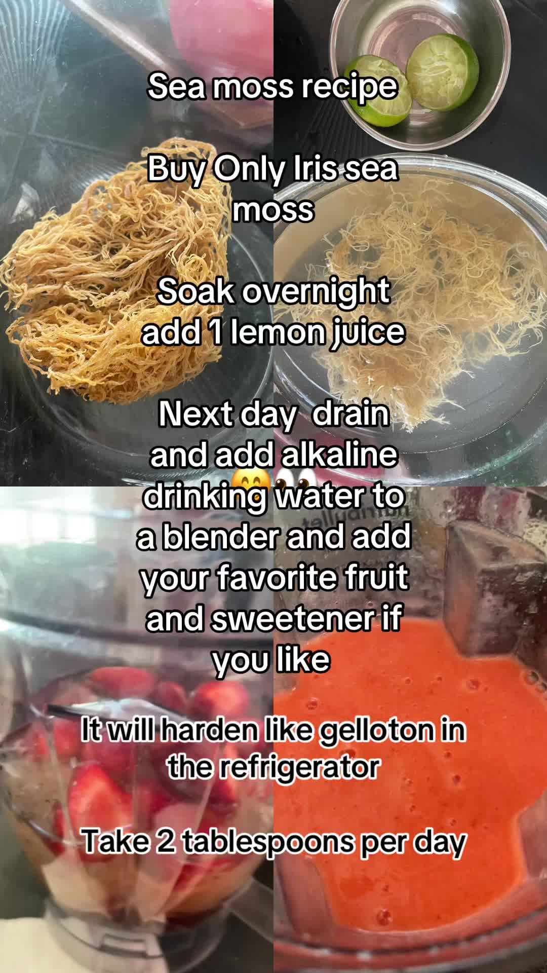 @ᑭOᖇTᗩᒪ Oᖴ EᔕᔕEᑎTIᗩᒪ ᒪIGᕼT