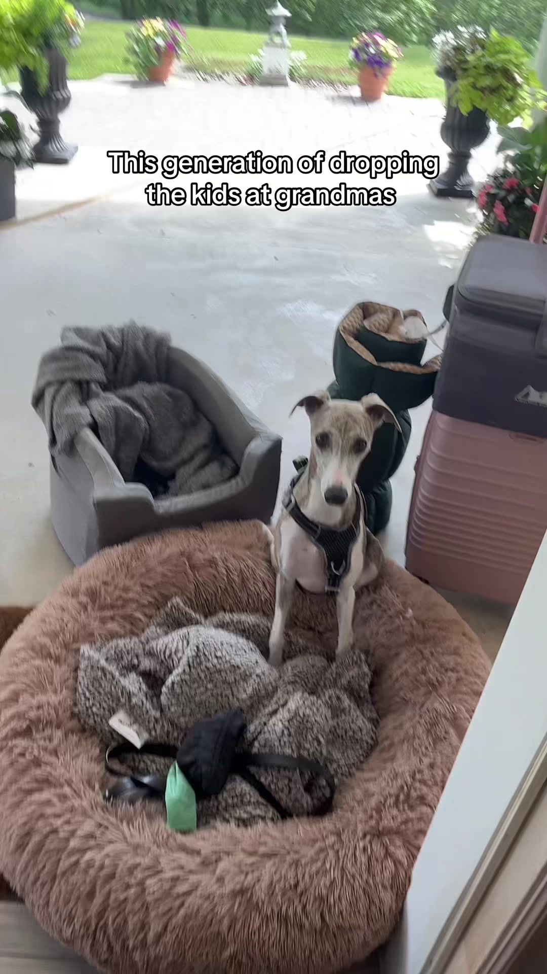 @Kayce Dog🤪🩷