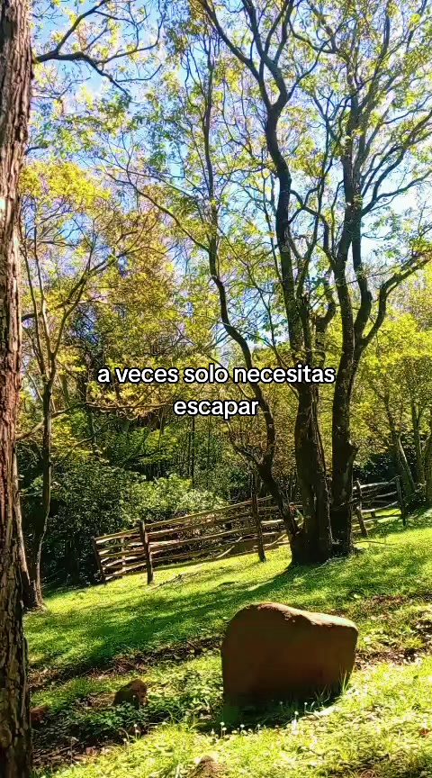 @Carlos Abramo