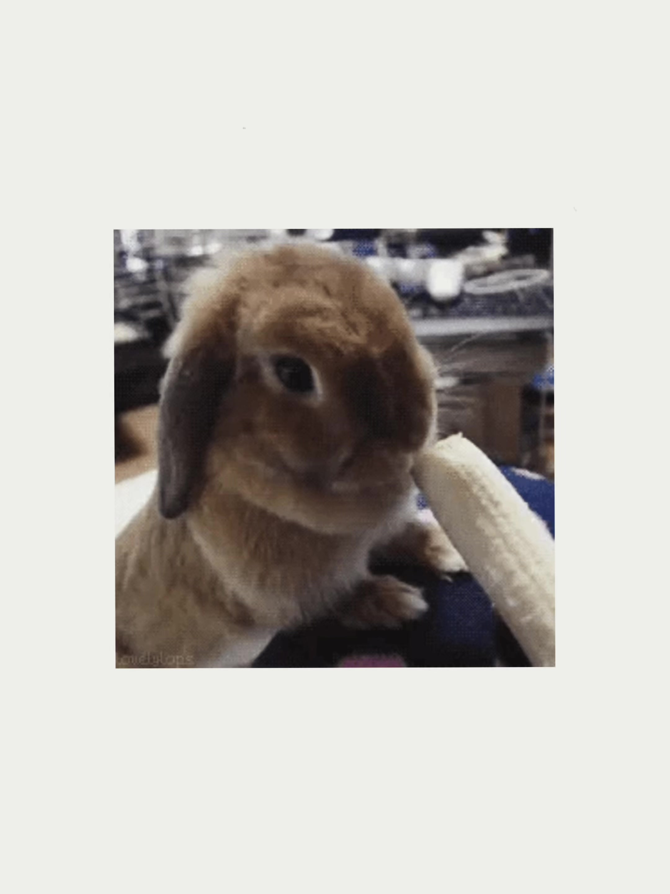 @⋆˚꩜𝗠𝘆𝗮