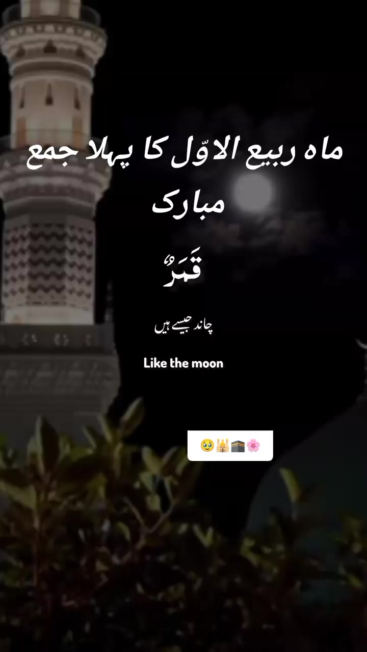 @حیدر🇶🇦