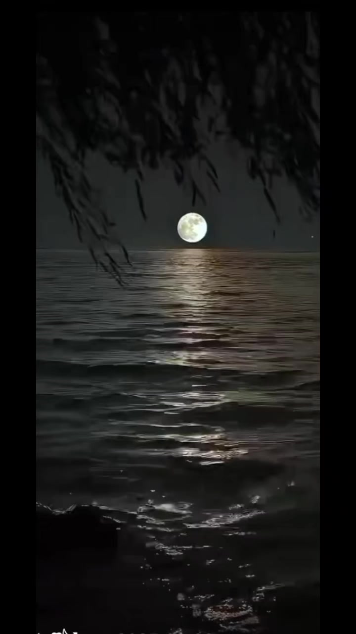 @"★VISPE★"FF°