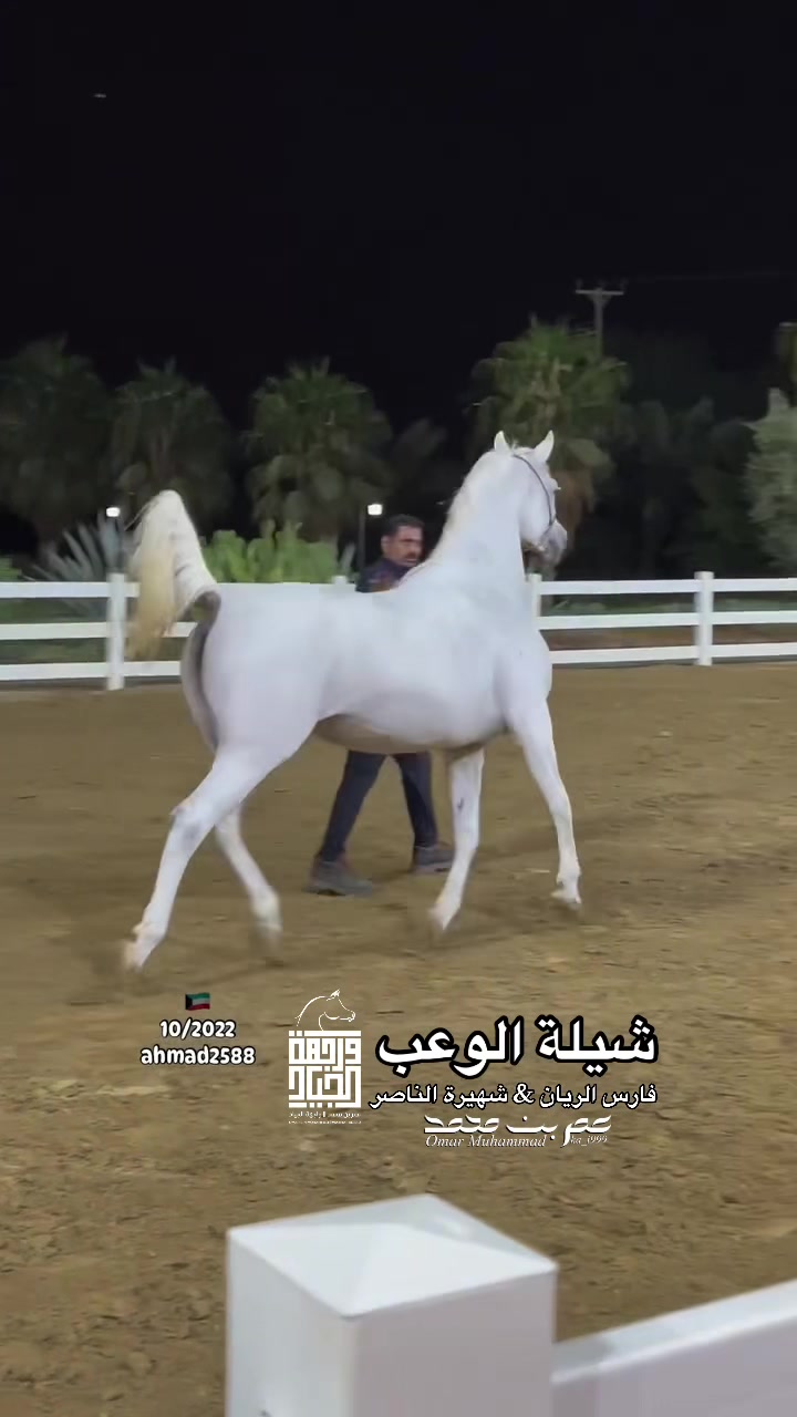 @عمر بن محمد | واجهة الجـياد🏅