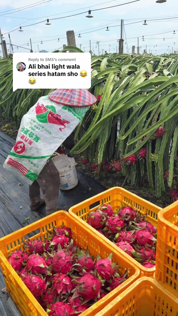 @Dr Ali in china🇨🇳