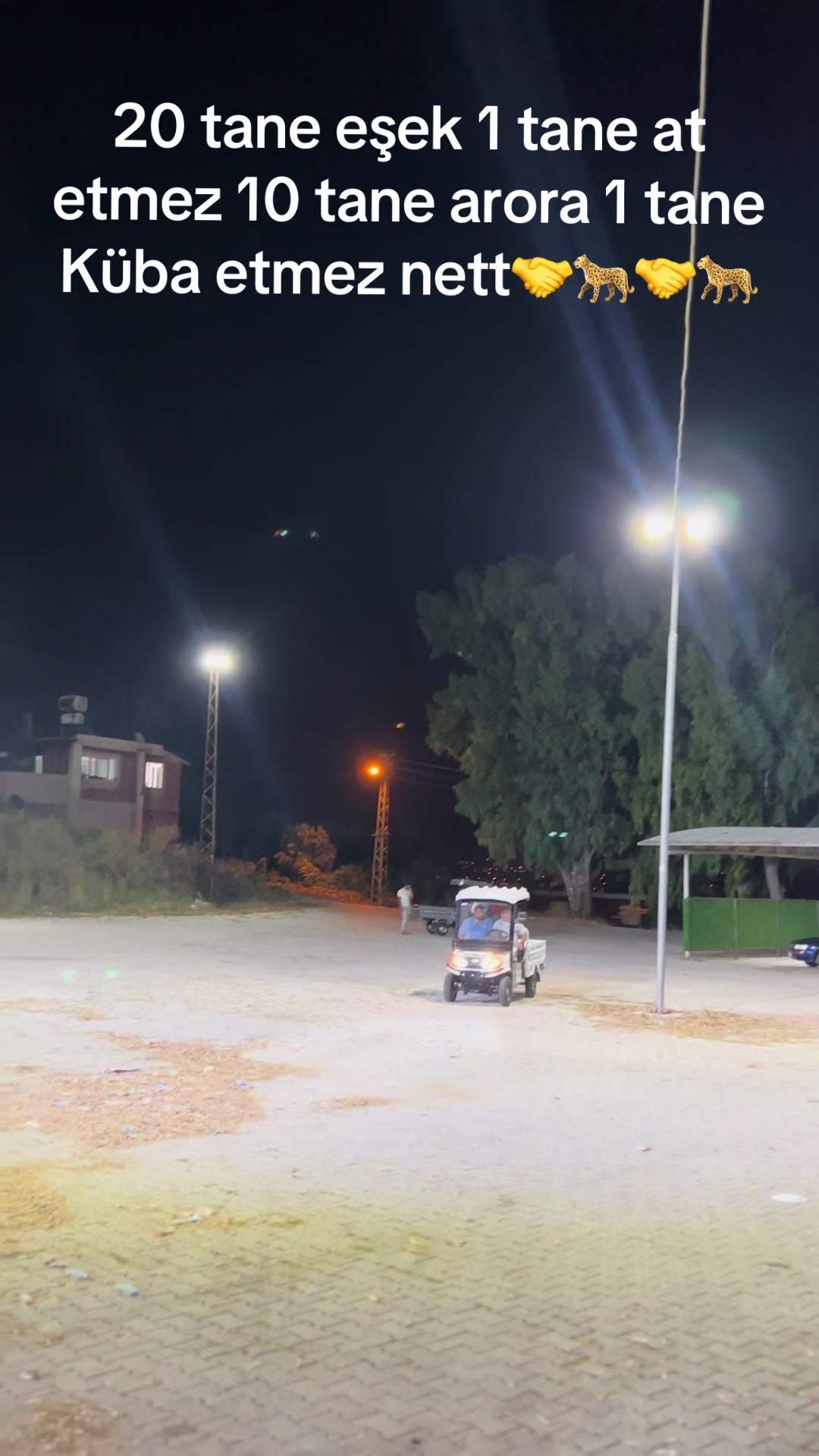 @çılgın Tamirci