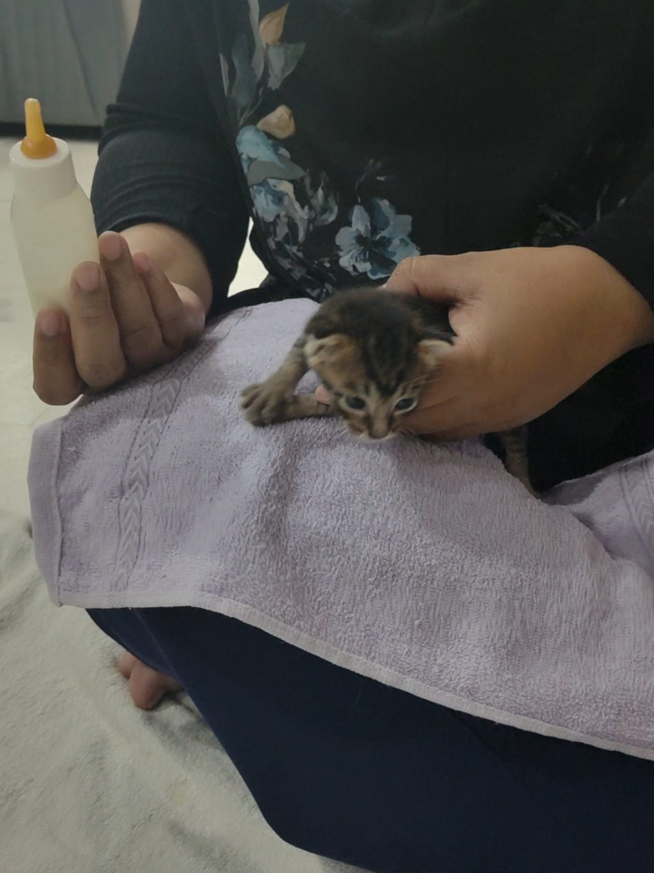@DDhousepet