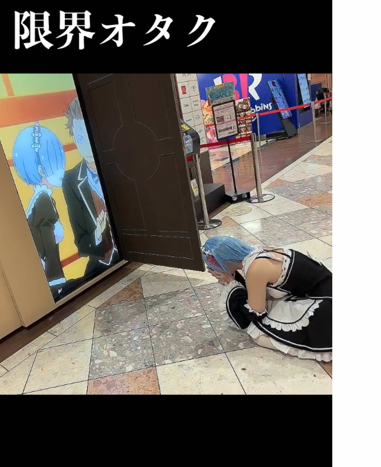 @ぷらる🐺