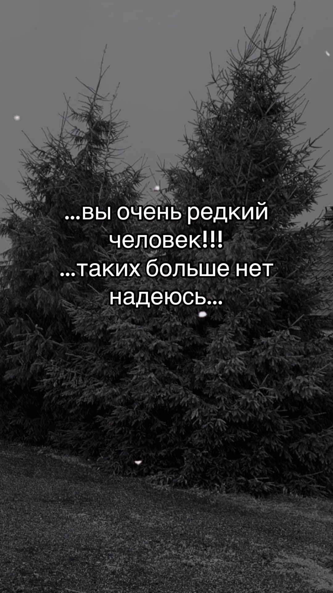 @⿻ Milana⿻