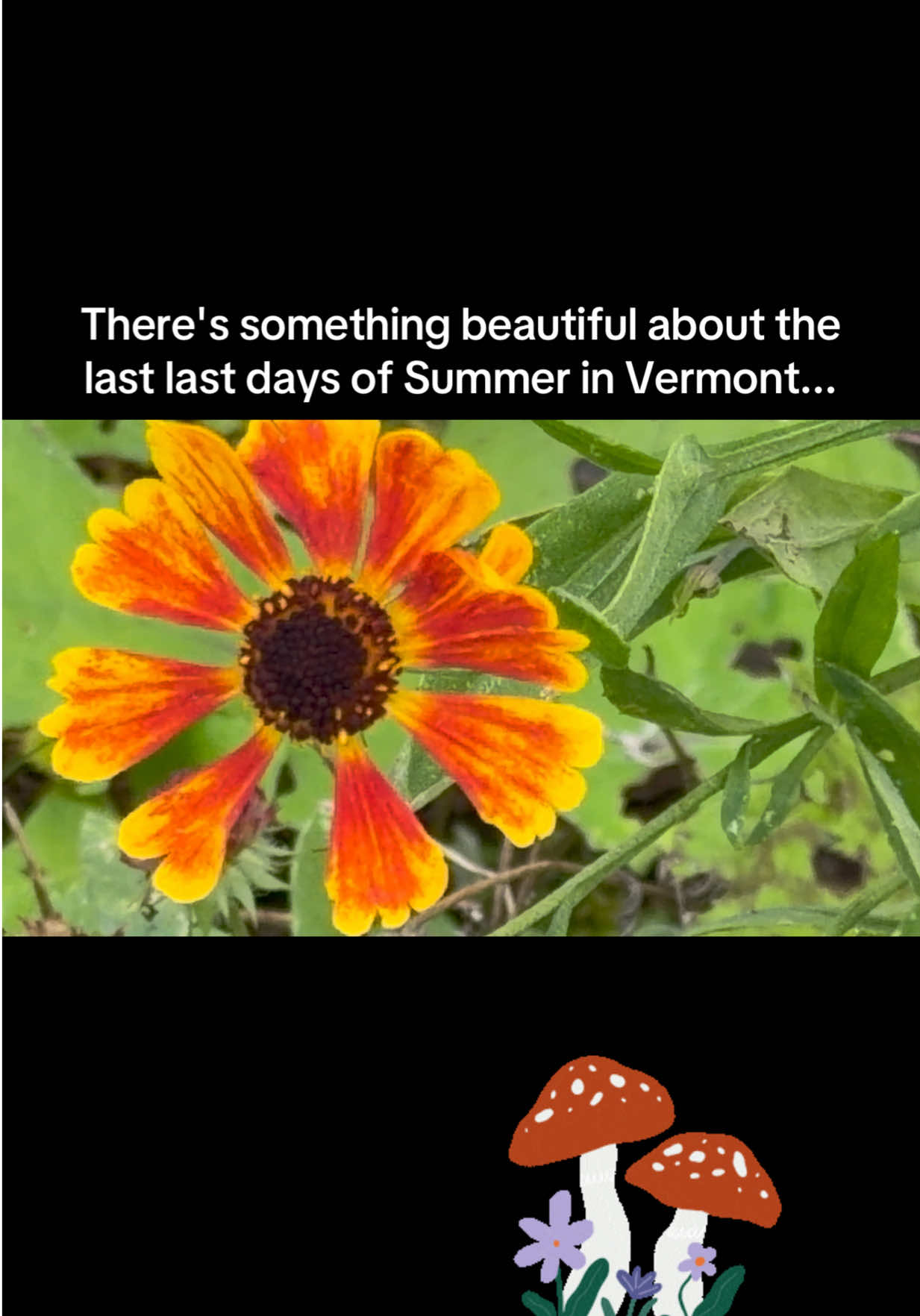 @strawberrysparkle321
