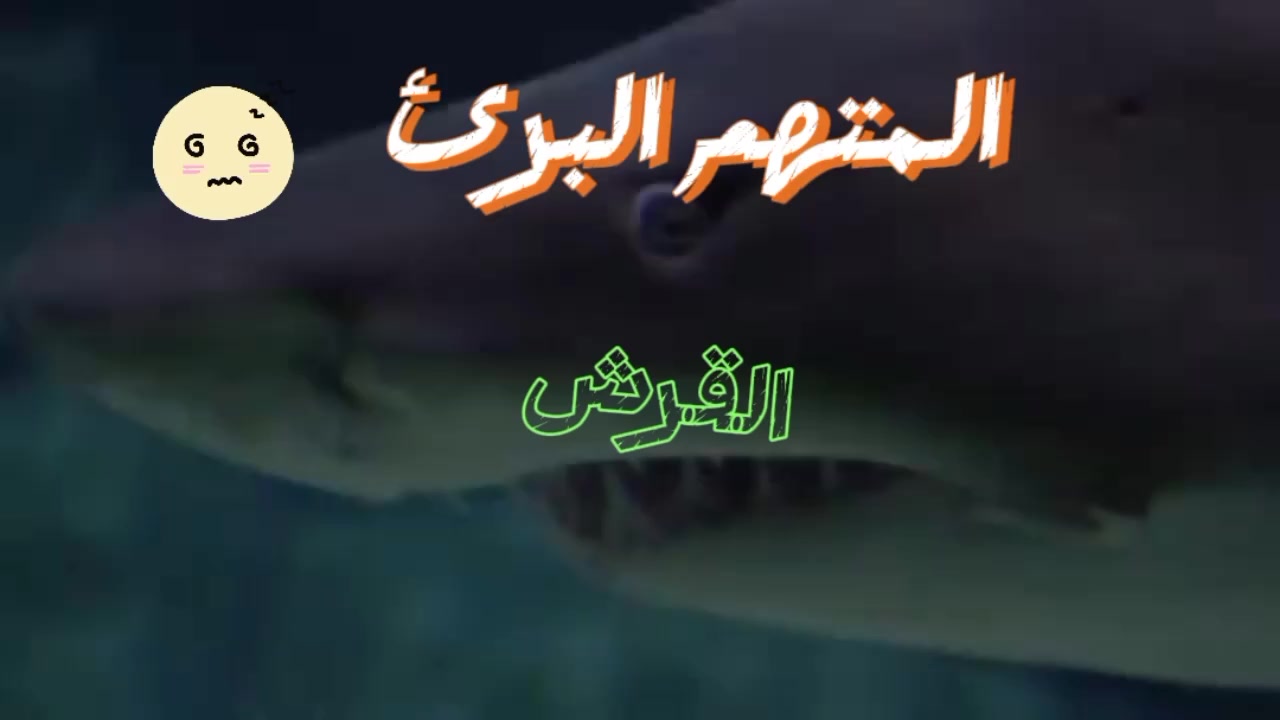 @Dr. Khaled Youssef
