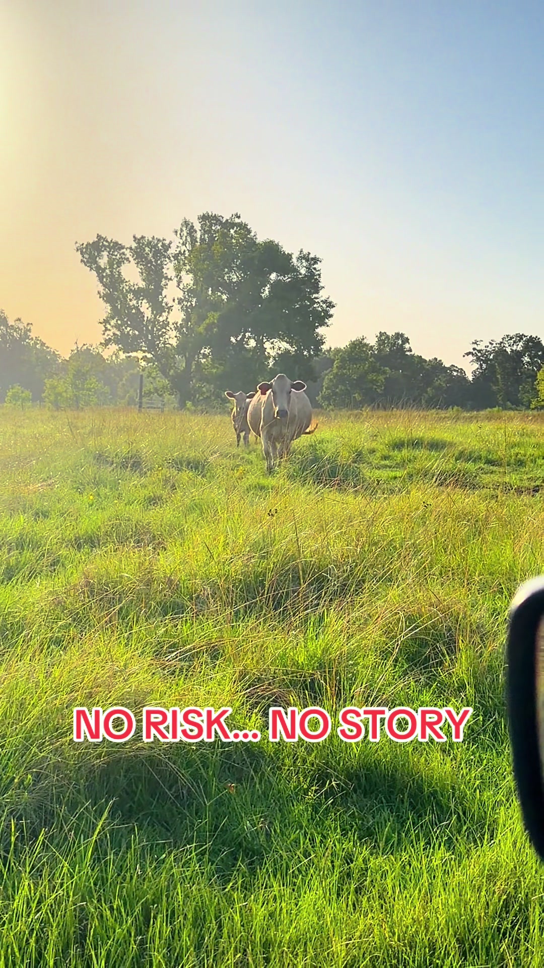 @ER/Trauma RN/Ranching/Farmlife