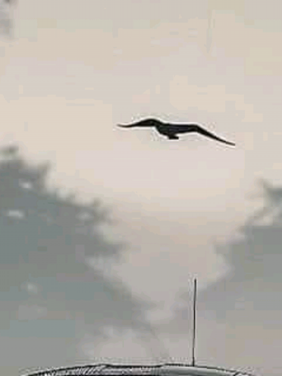 @Fassyyy.