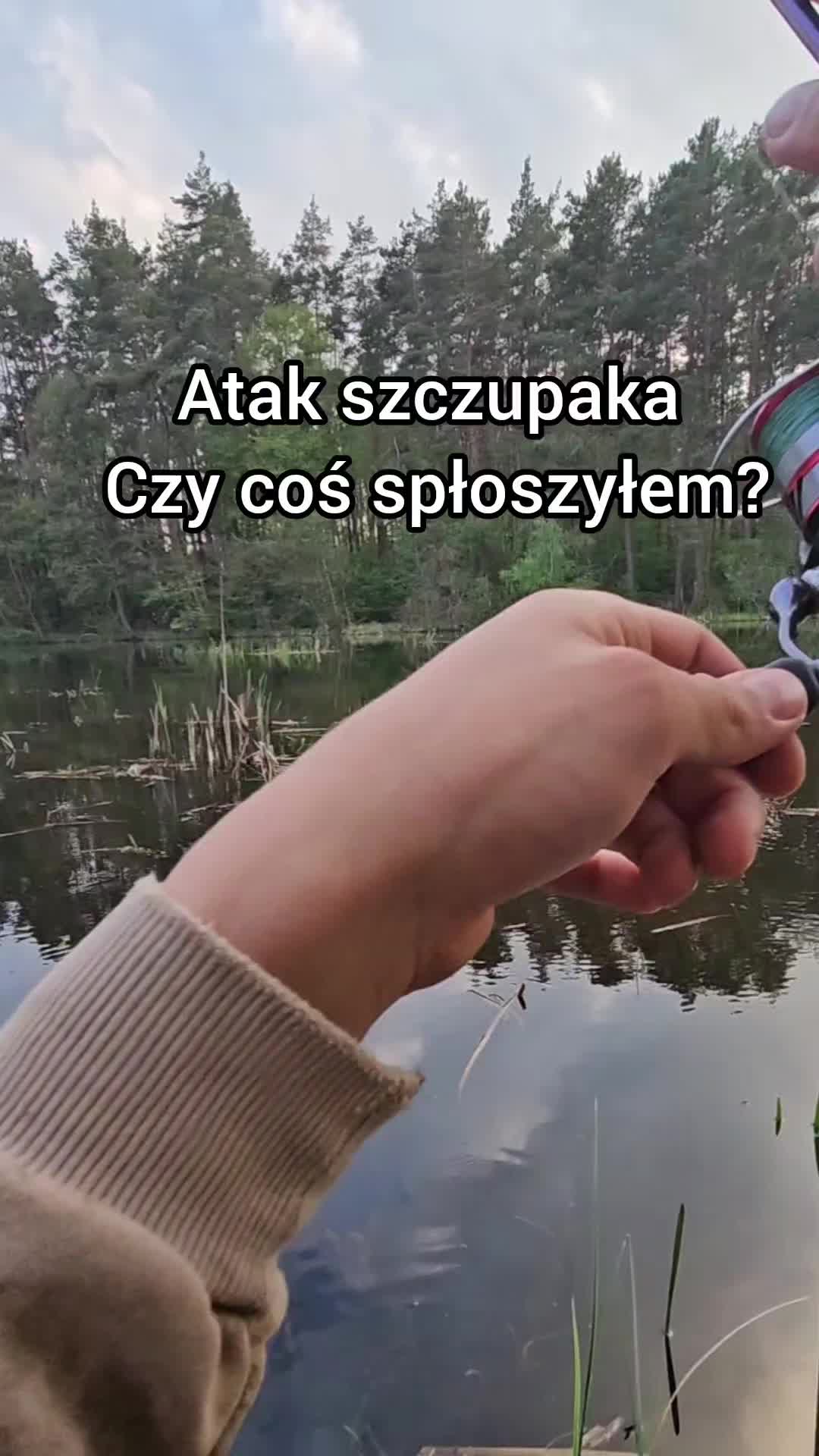 @mfly_lures